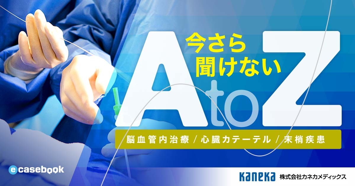 今さら聞けない A to Z | e-casebook